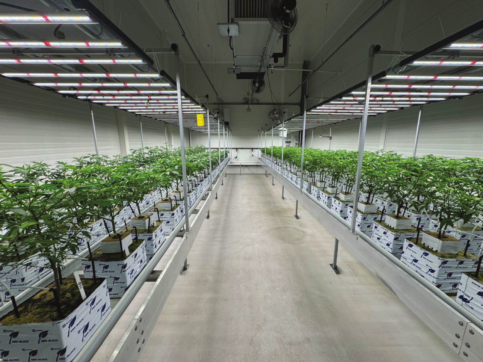 Indoor hemp cultivation facility