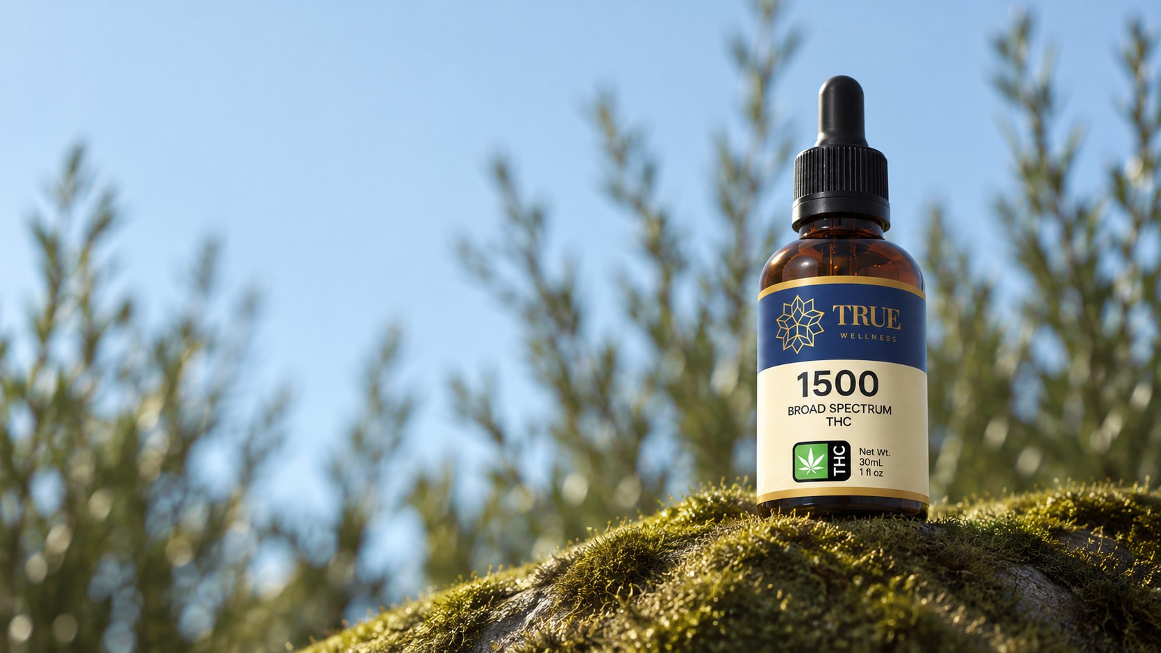 True Wellness oil collection