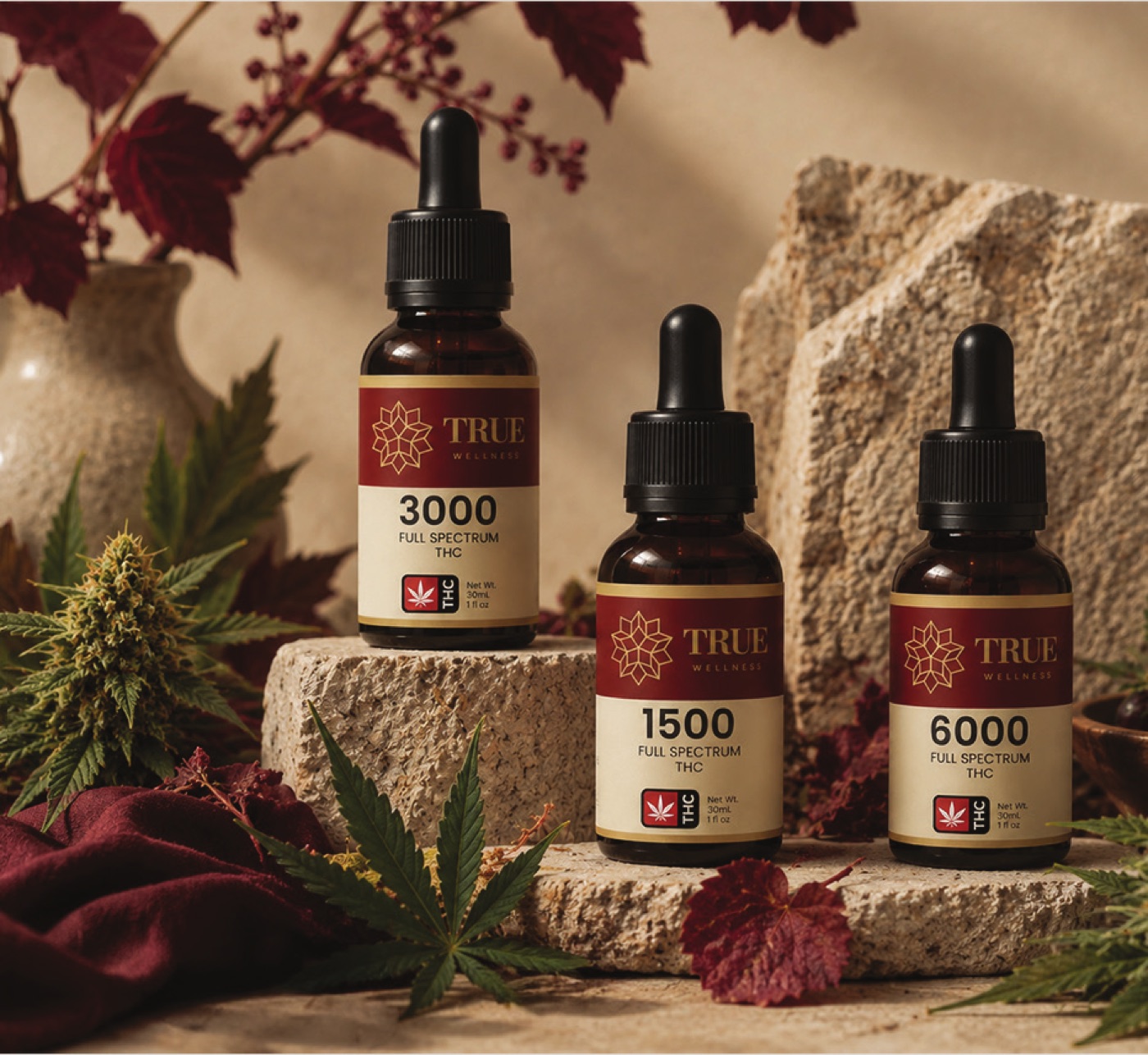 Full Spectrum oils with autumn foliage